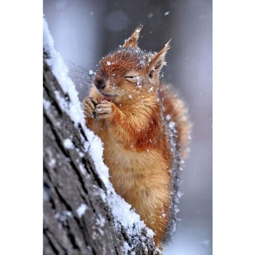 New Diamond Embroidery Snow Squirrel 2019 5d Diamond Painting Full Square Rhinestones Picture Diamond Mosaic Beadwork