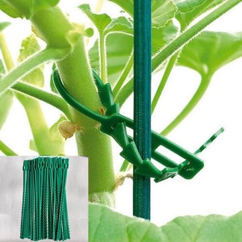 High quality garden strap binding horticultural fish bone cable multi purpose reusable strap for garden tree climbing support