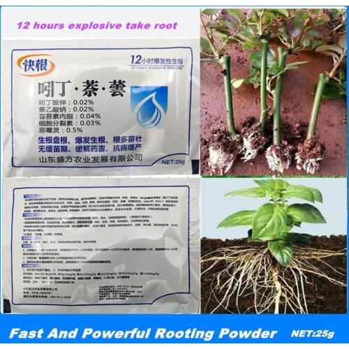 25g Fast And Powerful Rooting Powder Medicinal Hormone Regulators Growing Recovery Germination Vigor Aid Fertilizer Garden
