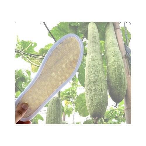 Size 39 40 eco-friendly natural breathable loofah insole shoe pad shoes pad