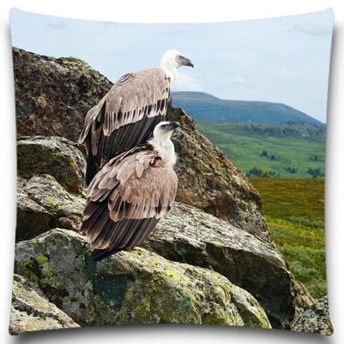 Two birds on the rock 2D print creative Pillow case Square cotton polyester cushion cover 5 size 9 style