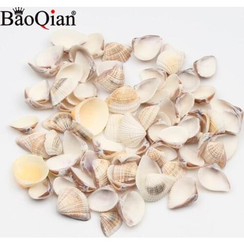 30pcs 10-20mm Natural Sea Shells Craft Decor DIY Landscape Aquarium Shell Conch Embellishment Home Decorative