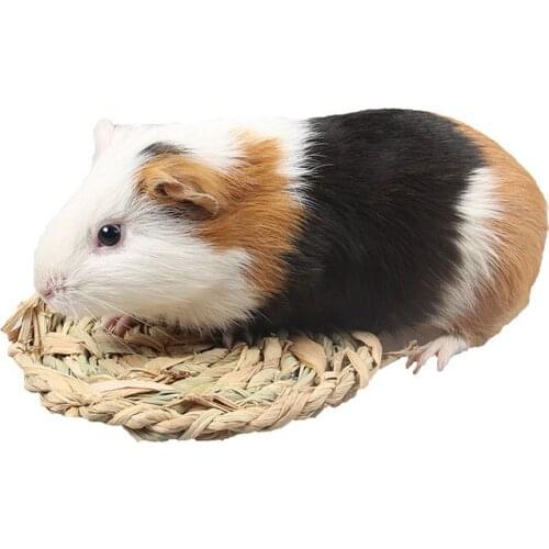 16cm Round Healthy Handmade Edible Water Bamboo Leaves Small Pet Nest Squirrel Hamster Grass Mat Bed Totoro Rabbit Cage