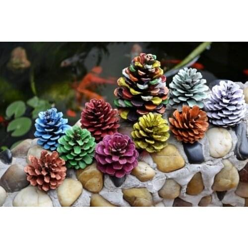 Handmade diy colored drawing pinecone flower hand drawing for natural pinecone dried flowers home decoration