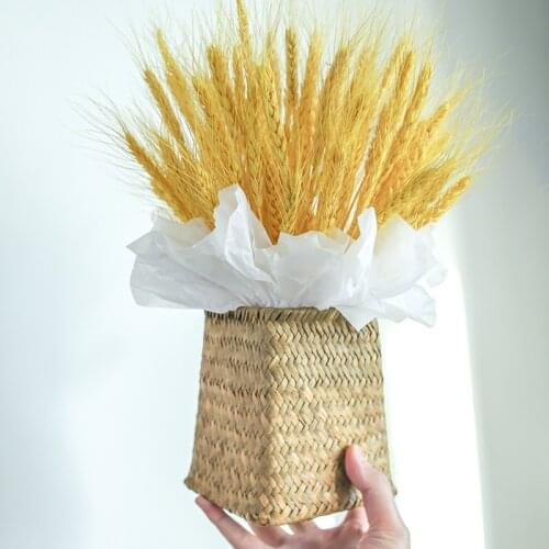 Immortal Real Natural Preserved Dried Wheat White Yellow Flower Bouquet Floral Arrangement Basket Home Wedding Bussiness Decor