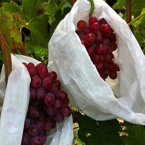 20 Pcs Fruit Vegetable Protection Grow Bag Anti Bird Plant Protective Bag Drawstring Nylon Mesh Agricultural Pest Control Bag