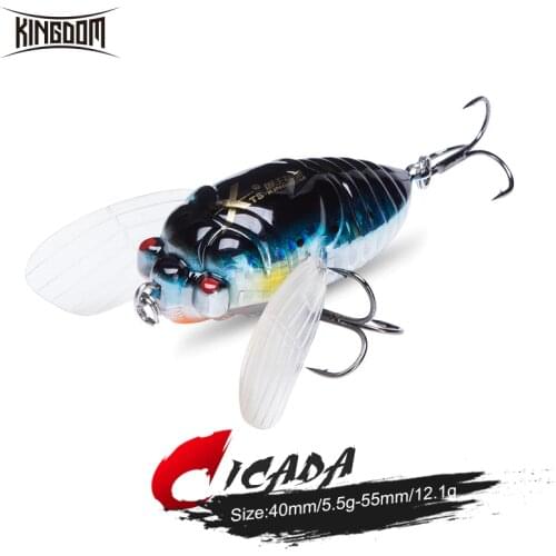Цикады KINGDOM China At AliExpress