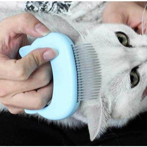 Pet Massage Brush Shell Shaped Handle Pet Grooming Massage Tool To Remove Loose