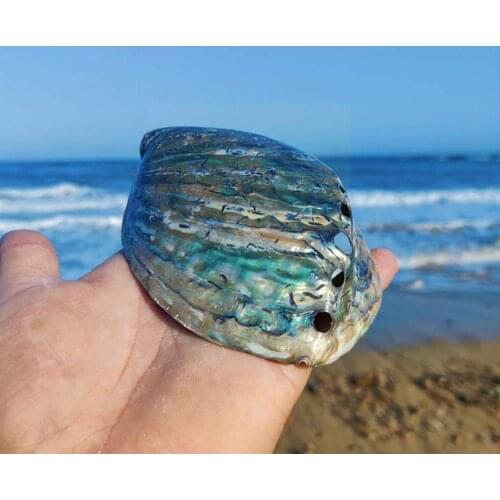 VIP shell link For yb D2E0