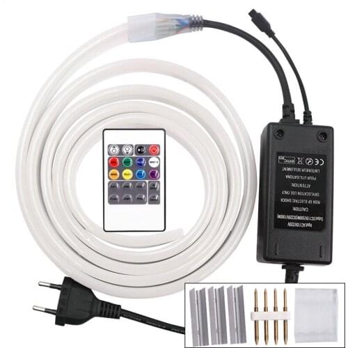 RGB LED Neon Light Strip 220V 2835 120Led/m Waterproof Flex Led Strip 1m 10m 20m 100m+RGB Remote Controller+Power Plug+Clip Kit