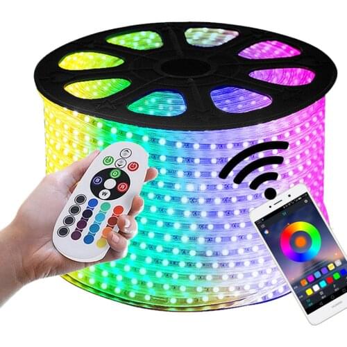 GD 1M 5M 8M 10M 12M 14M 15M LED Strip With IR RF IP65 Waterproof or Bluetooth Remote Controller AC220V Dimmable LED Strip Light