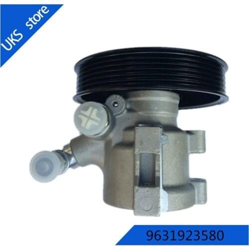 9631923580 26072536 4007Y2 Power Steering Pump for CITRO-EN Berlingo(mf)