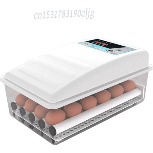 Water bed incubator small household chicken duck goose seedling incubator automatic intelligent constant temperature insulation