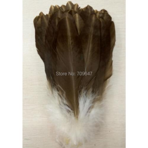 20Pcs/Lot!25-30cm Real Pheasant Feathers Plumas Decoration for Dance Stage Clothing Headwear,Fly Tying Materials,Costume Mask