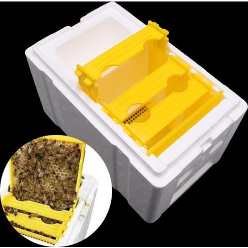 1PCS bee mating breeding box incubator apiary breeding foam insulation pollination king rearing equipment bees tools apiculture