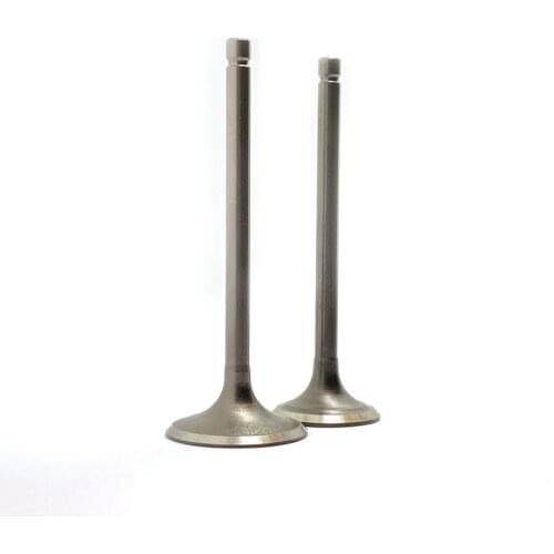 TRI-MOTO 200 INTAKE & EXHAUST VALVE SET KIT FIT TRI-MOTO YTM200