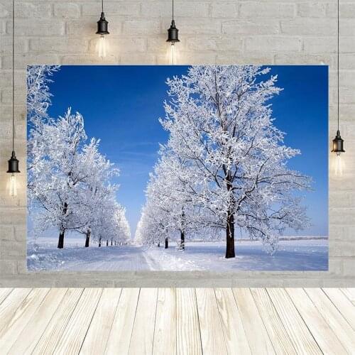Avezano Photography Backgrounds Winter Snow World Forest Landscape Decoration Photographic Background For Photo Studio Photozone