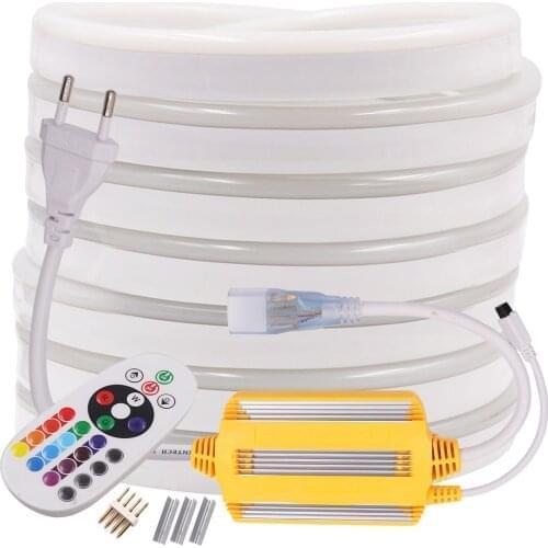 220V RGB Neon Strip LED Light Remote Control 5050 Flex Rope Lights Waterproof IP67 Flexible LED Tape Home Decoration String