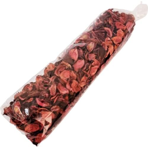 Fragrant Big size Color Rose