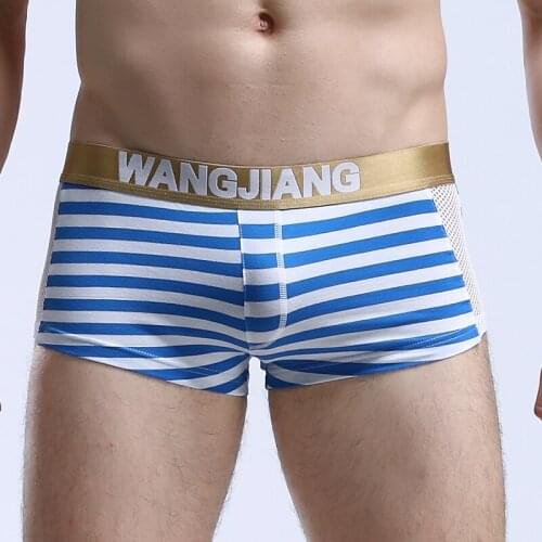 Man Sexy Mesh Fishnet Transparent Trunks Underwear Gay Male Seamless Funny Striped Cotton Boxers Shorts Panties