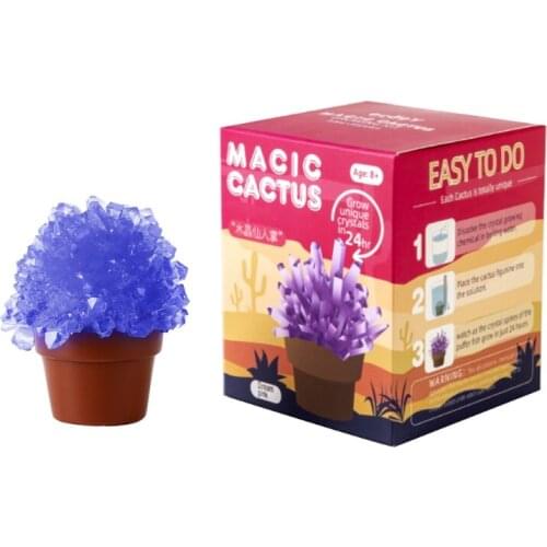 DIY Craft Desktop Decoration Montessori Creative DIY Growing Crystal for Toddler H055