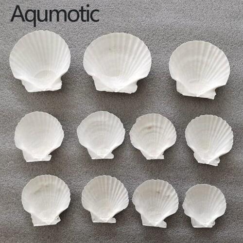 Aqumotic 50pcs Shells Crafts Seashells Aquarium Decor Photo Props DIY Barbecue Aquarium Landscape Seashells Crafts/party Decor