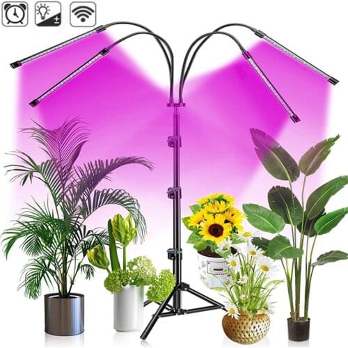 LED Grow Light Tripod Stand Adjustable 3/9/12H Timer 80W Phyto Growing Lamp Full Spectrum Phyto Lamp For Plants Seedlings Flower