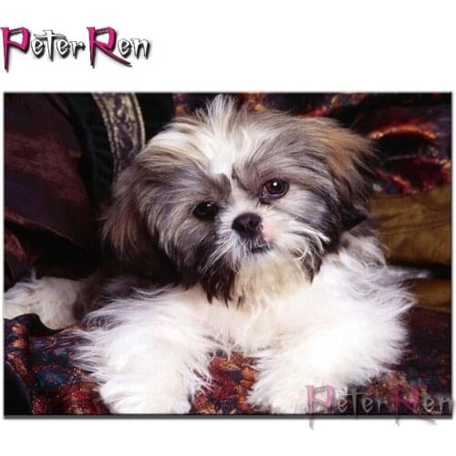 Peter ren 5d diy diamond painting animal shih tzu dog Full drill rhinestones puzzle mosaic Diamond embroidery Home Decor pet art