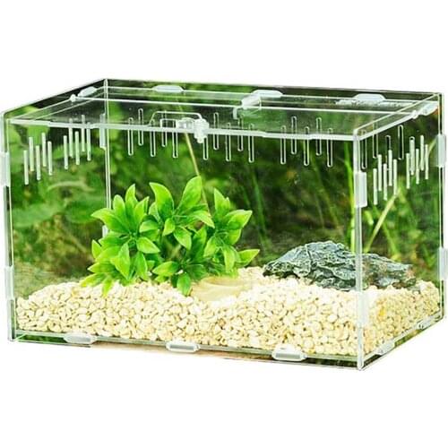 Pet Spiders Breeding Box Feeding Box Insect Breeding Box Acrylic Feeding Box Anti-escape Terrarium Acrylic Spider Rearing Box