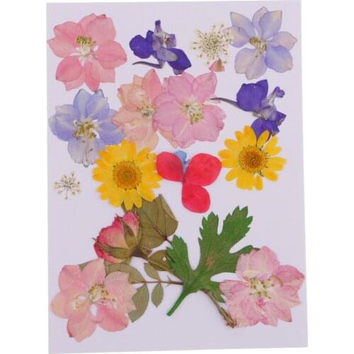 MagiDeal Multi Kind Pressed Real Dried Flowers Leaves DIY Phone Case Scrapbook Crafts Artificial Flowers For DIY craft Projects