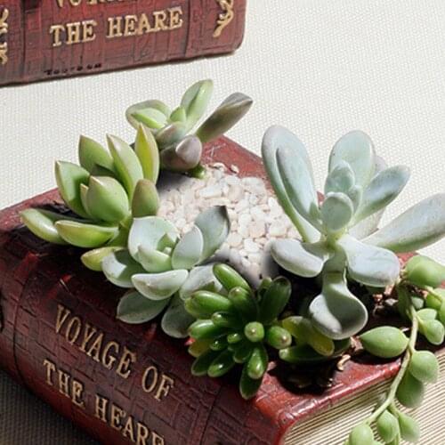 Planter Plant Pot for Indoor Outdoor Succulent Herbs Flower Vintage Book