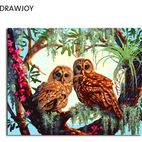 DRAWJOY Framed Picture Painting & Calligraphy Of Animal DIY Painting By Numbers Coloring By Numbers 40*50cm