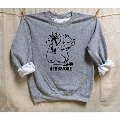 Herbivore cute graphic dinosaur kawaii vegan unisex pure cotton grunge tumblr pullovers 90s young street style new trend tops