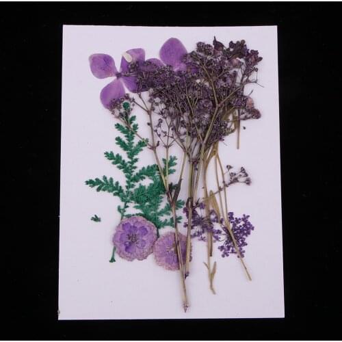 Natural Real Press Leaves Pressed Real Dried Flowers Dry Leaves for DIY Scrapbooking Arts Crafts Bookmark Card Making Materials
