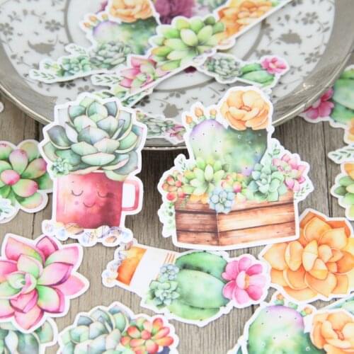 Aesthetic Beautiful Watercolor Succulent Plant Scrapbooking Stickers Waterproof DIY Water Bottle Mug Laptop Gift Decals