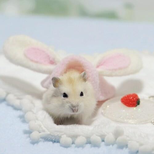 Hamster Clothes Golden silk bear Hat honey Glider Cape Guinea Pig Dutch Pig Hedgehog Winter suit Chinchilla cute