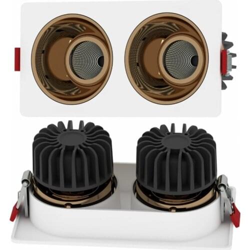 Double head LED Ceiling Lamp 20W 30W Recessed Downlight Dimmable 110V 220V Spot Lights 36° Beam angle For Indoor Lighting