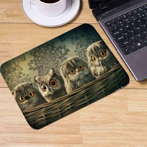New Style Printed Owl Animal Art Luxury Square Mouse Pad Game Accessories Computer Game Pad 18*22CM 25*20CM 25*29CM Mousepad