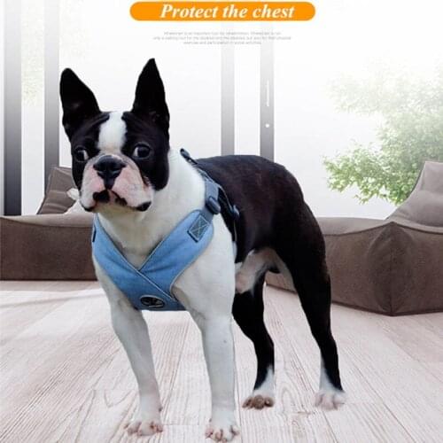 Dog Reflective Vest Leash Nylon Breathable Mesh Pet Harness Sets Cat Running Soft Chest Strap Suit Leashes Lead For Dog Supply