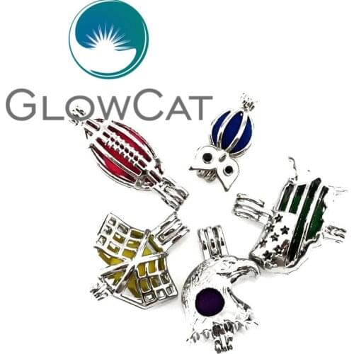 22141 American Map Flag Banner Eagle Football Owl Oyster Pearl Beads Cage Locket Pendant Women Kids Girl Gift Mixed 5pcs