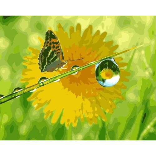 MaHuaf-j441 Butterfly and Water Droplet coloring by numbers new arrival unique gift digital oil painting for living room