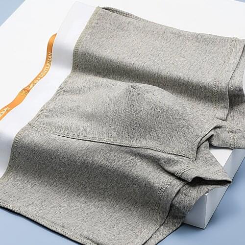 2021 Cotton Briefs Mens Comfortable Underpants Man Underwear L/XL/2XL/3XL/4XL/ 3Pcs/Lot Free Shipping & Drop Shipping N8C647 Gay