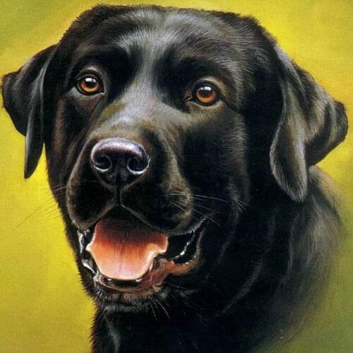 Evershine Full Square Diamond Painting Dog 5D DIY Diamond Embroidery Animal Cross Stitch Rhinestones Pictures Handicrafts