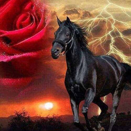 Rose Black Horse Animal 50x65cm DIY Painting By Numbers Hand Painted Oil Adult Child Picture Colouring Home Decor Unique Gift