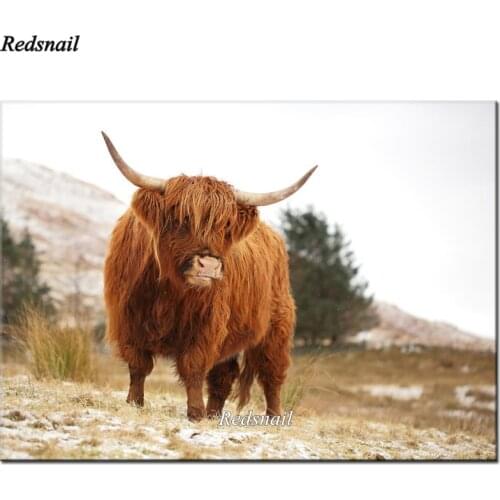 Highland Cow Scottish landscape diamond paintings full drill 5d diy Diamond Embroidery round square daimond animal decor, YY2445