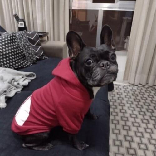 Dog Clothes Fashion Pet Hoodies Costume Spring Medium Large Dogs the Dog Face Sweatshirt for Labrador French Bulldog Clothing