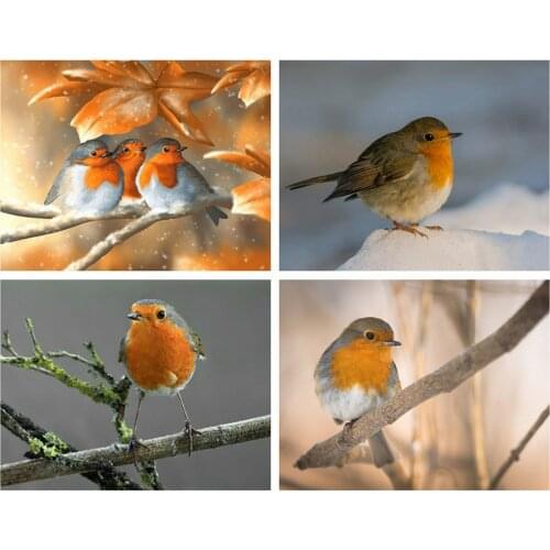 Diamond Painting Kits Animals With Rhinestones Bird Full Round With AB Drill Diamond Mosaic Full Layout Beaded Pictures Gift Art