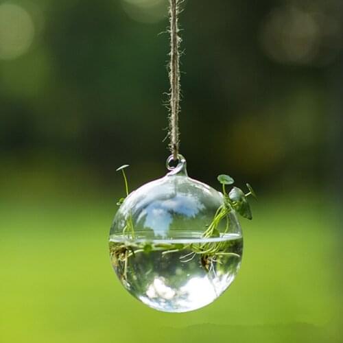Diameter=10cm Middle Size 2-hole Glass Terrarium Vase Home Decorative Creative Hanging Glass Ball Plant Container