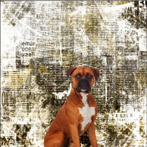 VinylBDS Retro Brick Wall Backdrops Fotografia Washable Background Photography Kids Microfiber Photo-Backdrop