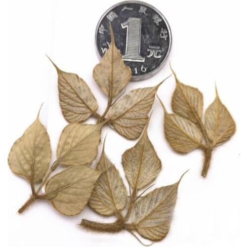 120pcs 1.5cm Pressed Dried Lobed Kudzuvine Leaf Plant Herbarium For Jewelry Phone Case Photo Frame Bookmark Craft DIY Making